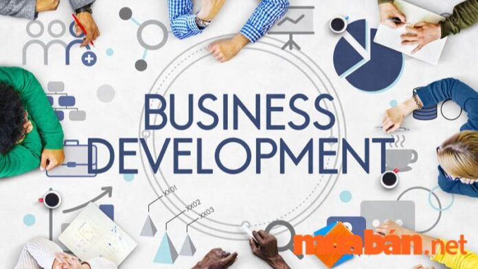 Business Development là gì mà doanh nghiệp thi nhau tuyển?