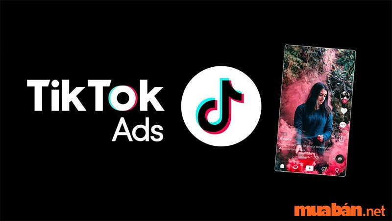 Quảng cáo trên Tiktok Ads