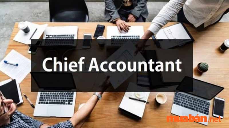 Kế toán trưởng hay còn được gọi là Chief Accountant làm việc trực tiếp dưới sự quản lý của CFO  