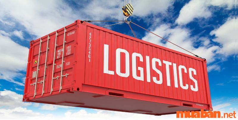 Ngành logistic là gì - Ngành logistic là gì - Nhân viên hải quan chịu trách nhiệm với hàng hóa xuất nhập khẩu