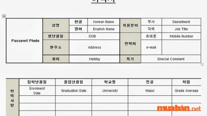 Mẫu CV tiếng Hàn rất đơn giản