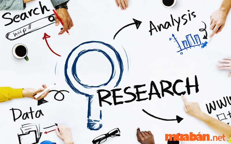 Bạn có thể chọn các ngành liên quan đến Marketing, Quản trị kinh doanh để trở thành chuyên viên nghiên cứu thị trường
