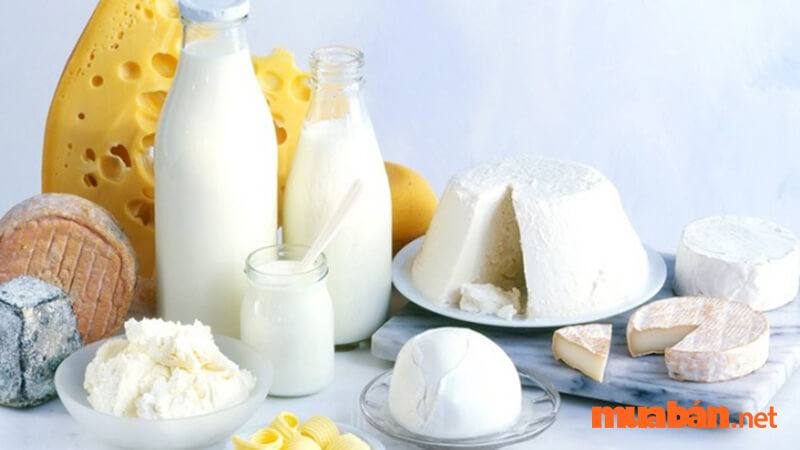 FMCG là gì - Top các công ty ngành hàng từ sữa và các phẩm từ sữa trong FMCG là gì? 