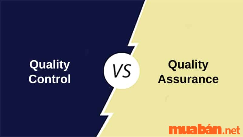 QA hay QC đều là những nghề thuộc hệ thống ngành quản lý chất lượng sản phẩm