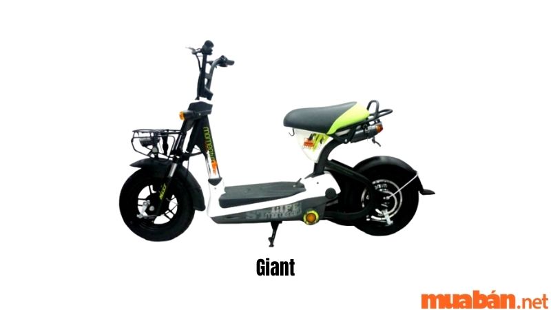 Xe đạp điện Giant
