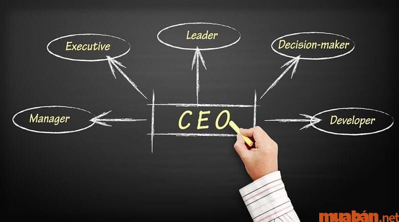 Ceo là gì - CEO vạch ra các chiến lược phát triển cho công ty.