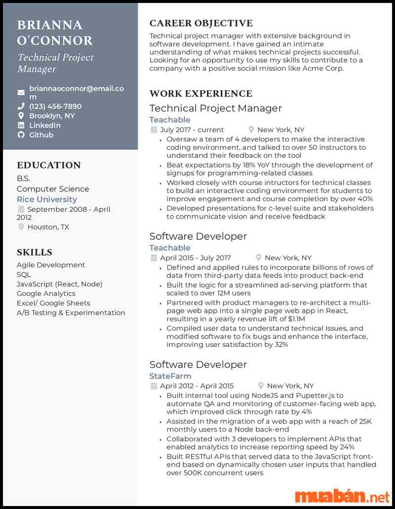 CV IT Project Manager