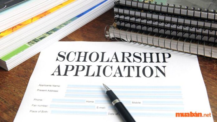 Cách viết CV Scholarship chuẩn nhất 2022