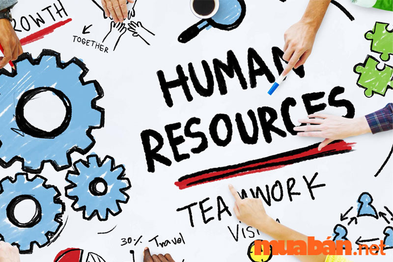 Hr là gì - HR (viết tắt của cụm từ Human Resource) được hiểu là Quản trị nhân sự