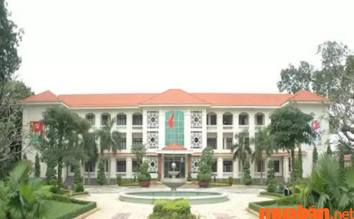 Trường Đại học Trần Đại Nghĩa