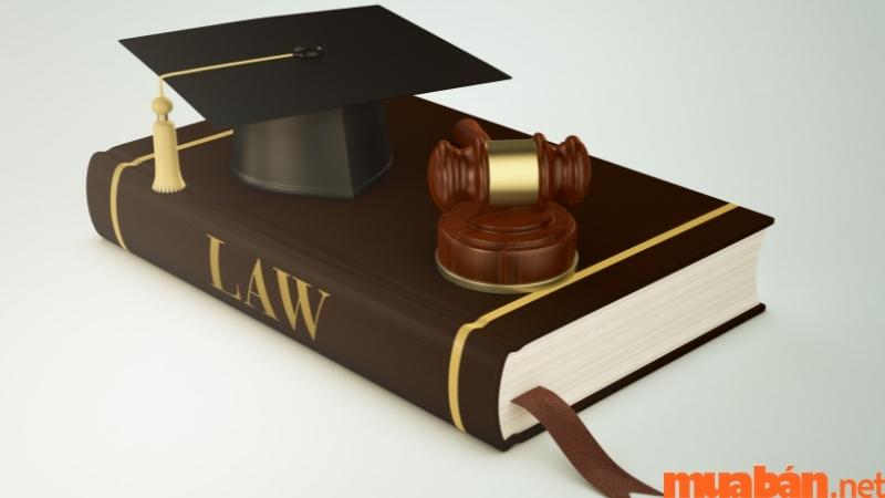 Các môn học ngành luật cần học là gì?