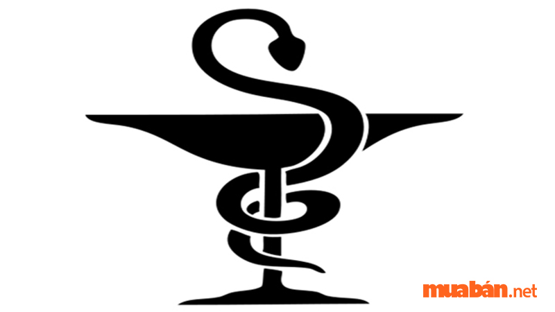 Biểu tượng phổ biến nhất khi nhắc đến ngành dược chính là con rắn quấn quanh chiếc cốc Hyegia 
