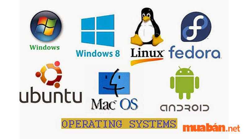 Phần mềm hệ thống là gì? Những điều cần biết về phần mềm hệ thống 