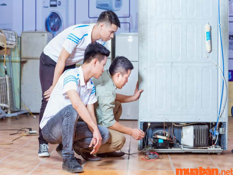 con trai nên học nghề gì để lập nghiệp