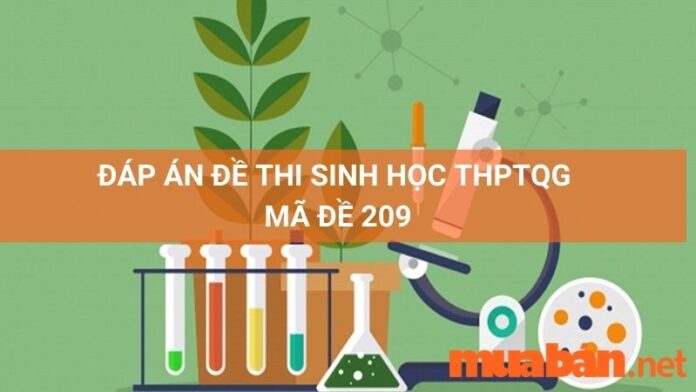 Đáp án mã đề 209 môn Sinh Học thpt quốc gia 2022