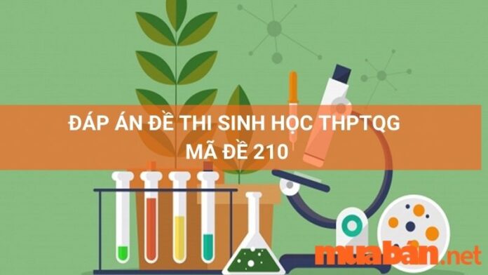 Đáp án mã đề 210 môn Sinh Học thpt quốc gia 2022