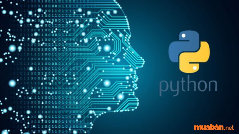 Ngôn ngữ lập trình Python là gì?