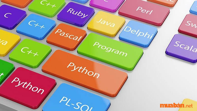 Lập trình Python để làm gì?