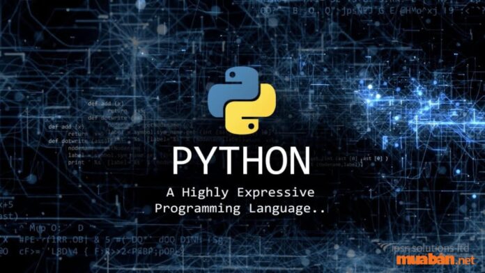 Ngôn ngữ lập trình Python là gì? 13 lý do nên dùng Python