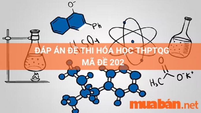 Đáp án mã đề 202 môn hóa học thpt quốc gia 2022