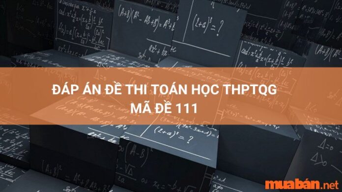 Đáp án mã đề 111 môn toán THPT quốc gia 2022