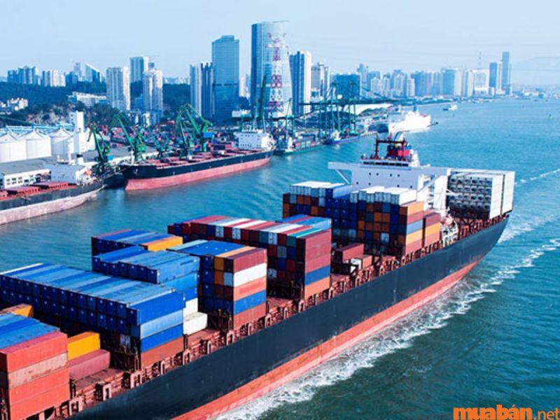 Giới thiệu ngành kinh tế vận tải biển