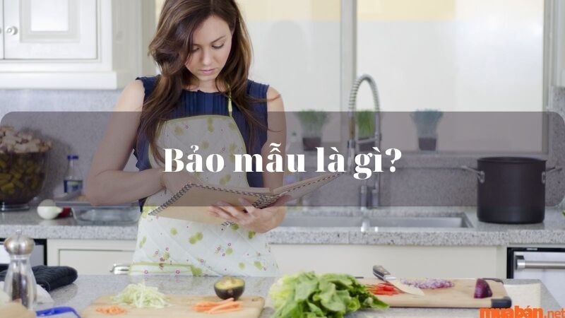 Bảo Mẫu Là Gì? Trở Thành Một Bảo Mẫu Khi Không Có Bằng Cấp