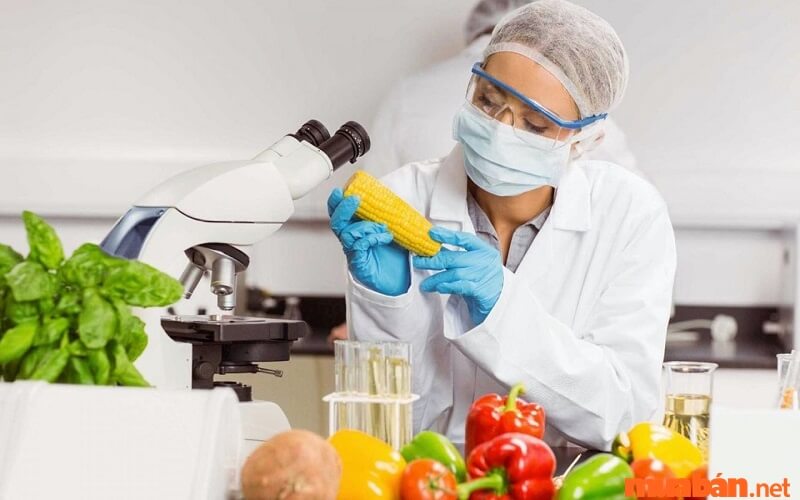 Công nghệ thực phẩm là ngành học đào tạo lĩnh vực bảo quản, chế biến, nghiên cứu thực phẩm.