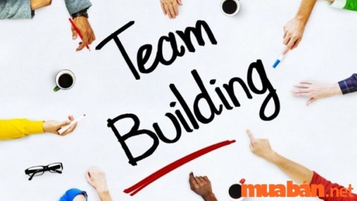 team building là gì du lịch team building là gì