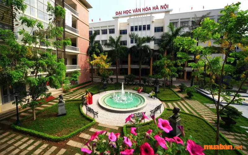 mã trường Đại học Văn Hóa Hà Nội