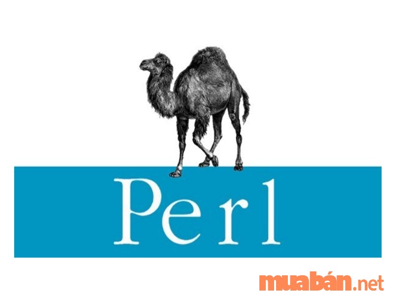 Ngôn ngữ lập trình Perl