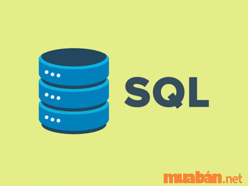 Ngôn ngữ lập trình PL/SQL