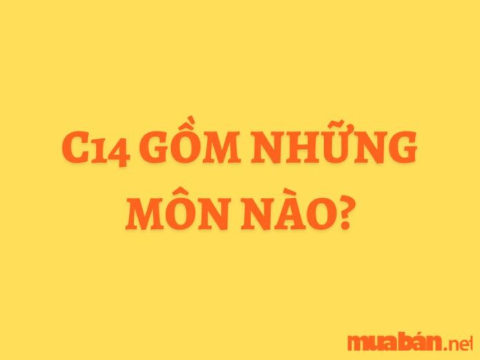 c14 gồm những môn nào