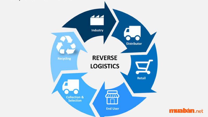 Khái niệm Reverse Logistics là gì khá đơn giản