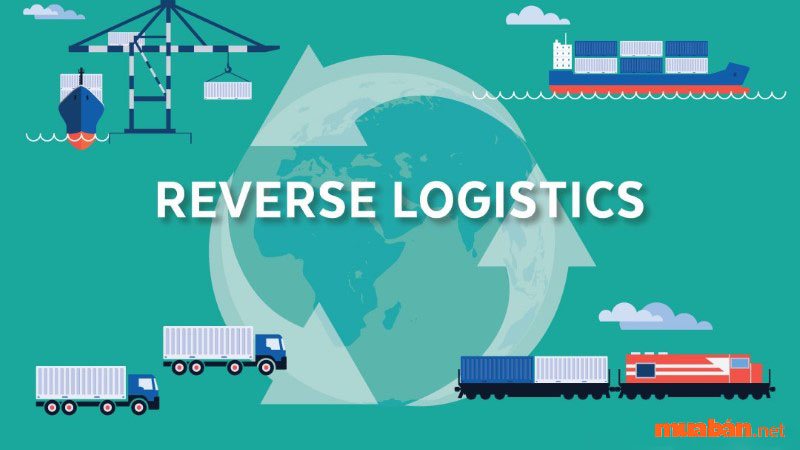 Reverse Logistics giúp thu hồi sản phẩm chưa đạt yêu cầu
