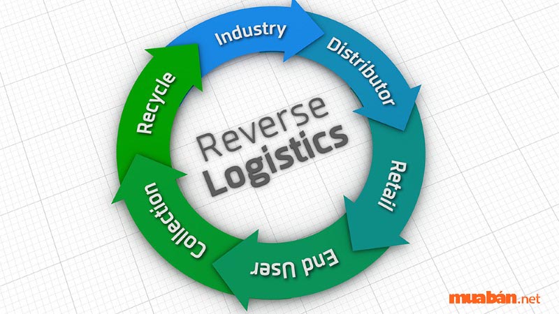Reverse Logistics giúp bảo vệ môi trường