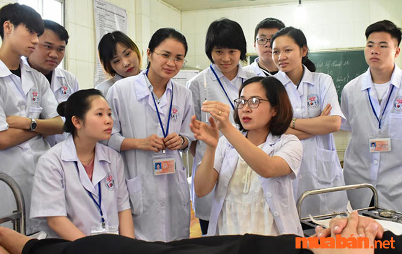 Có khá nhiều trường đào tạo ngày y sĩ chất lượng tại cả Hà Nội và TPHCM