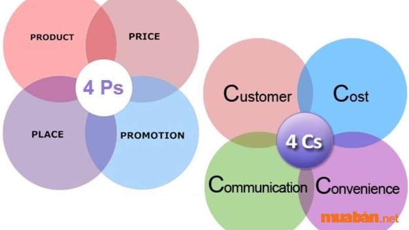 Nội dung về 4P và 4C trong Marketing  Võ Anh Văn  Kiến Thức về Digital  Marketing