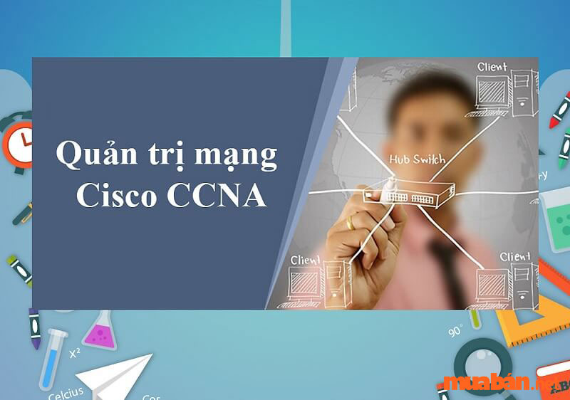CCNA là gì? Tấm bằng hội tụ nhiều công nghệ
