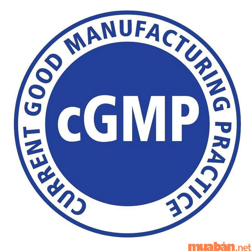 GMP trong ngành dược là gì