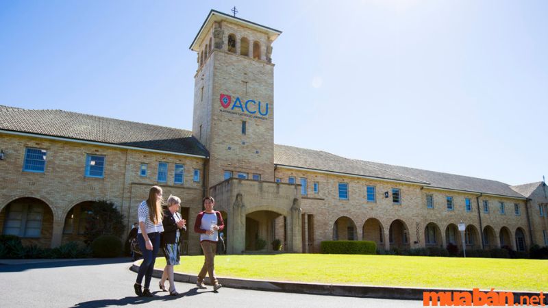 Australia Cathonic University