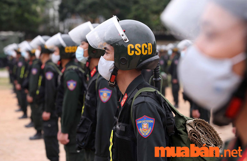 Cảnh sát cơ động học trường gì - CSCĐ là lực lượng quna trọng trong Quân đội Nhân dân Việt Nam