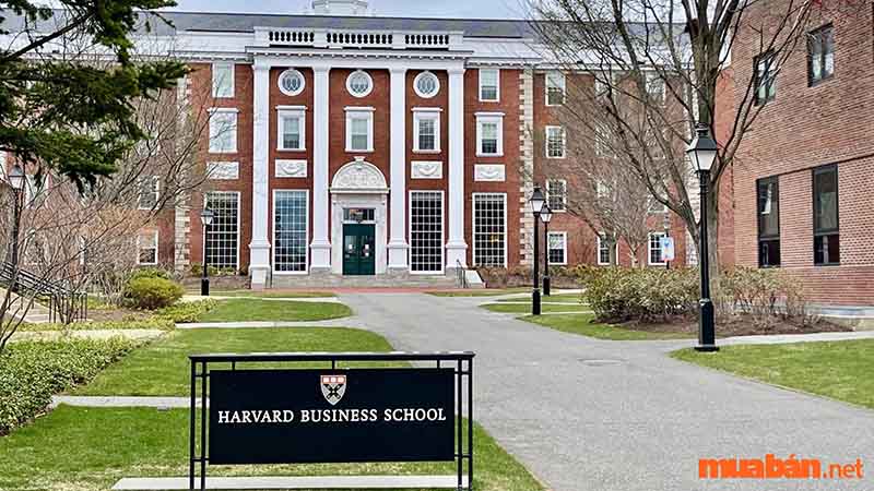học MBA Harvard