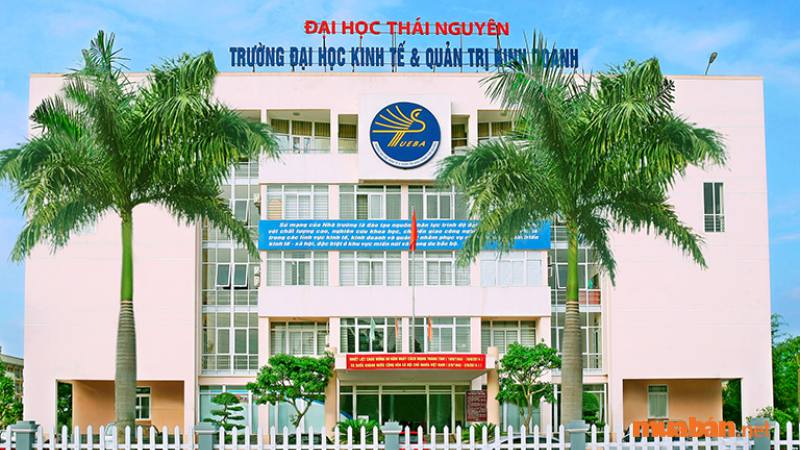 Nhà trường đẩy mạnh công tác phát triển các chương trình đào tạo quốc tế với Đại học Central (Philippine) để củng cố công tác giảng dạy và đào tạo cho sinh viên. Ngoài ra, trường đang hợp tác với các quỹ hỗ trợ nghiên cứu và chương trình học bổng quốc tế như: Cơ quan trao đổi Hàn Lâm Đức, quỹ Humbolt tiến hành hỗ trợ tập huấn các kỹ năng về phát triển dự án, đầu tư cho sinh viên. 