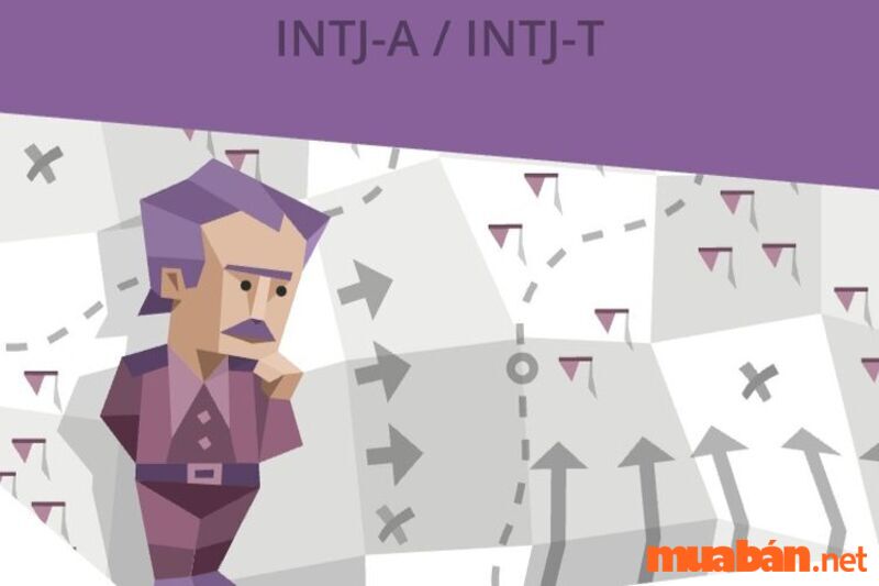 Nhóm tính cách hiếm nhất - Điểm mạnh của INTJ là gì?