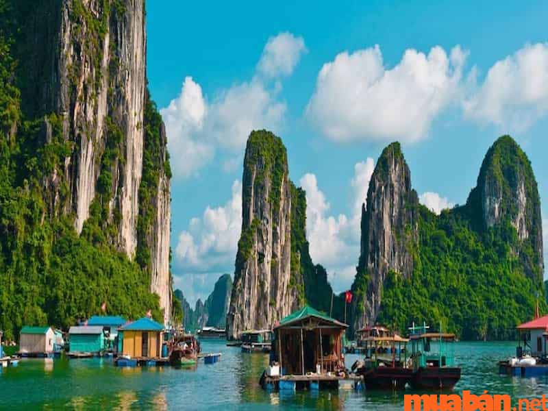 du lịch Quảng Ninh