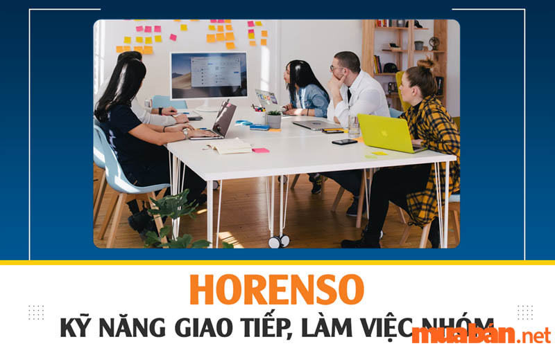 Thảo luận, tư vấn