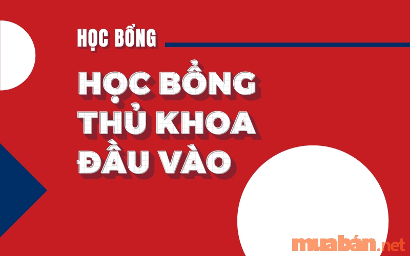 hoc-phi-dai-hoc-hong-bang 