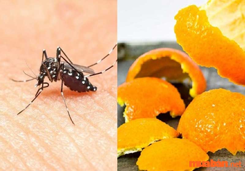Tinh dầu từ vỏ quýt hoặc cam sẽ mang lại hiệu quả đuổi muỗi ngoài cả mong đợi của bạn