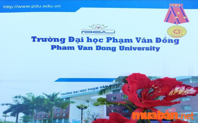 Tham khảo điểm chuẩn đại học Phạm Văn Đồng 2021